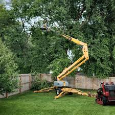 Best Lawn Grading and Leveling  in Venice, IL